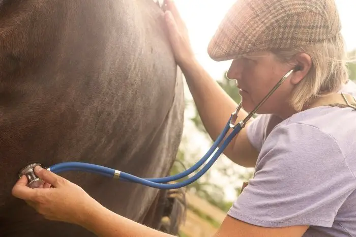 Other Diseases Can Humans Get From Horses - Cryptosporidiosis