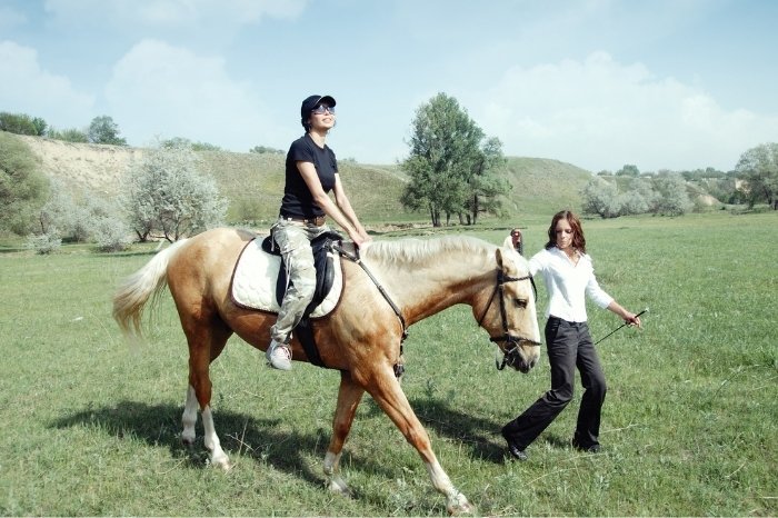 What Does A Horse Riding Trainer Do