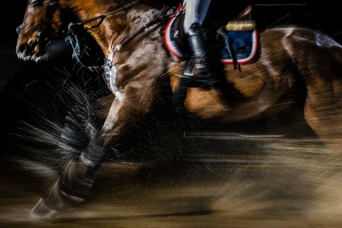 ¿Qué significa correr un caballo hasta la muerte?