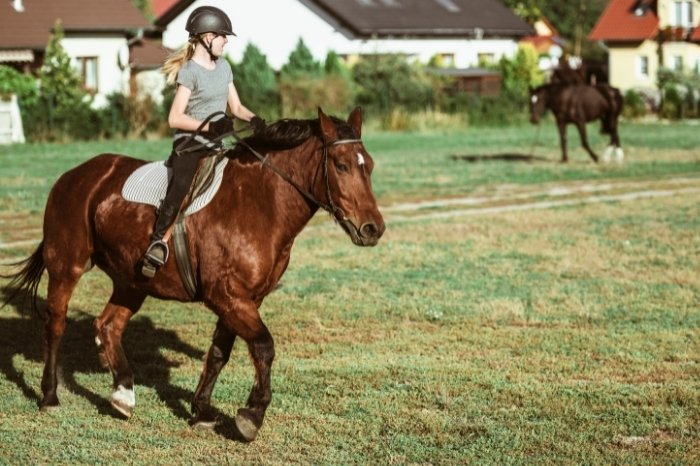 What Is A Horse Riding Skills Checklist
