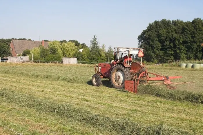 Does All Grass Make Hay